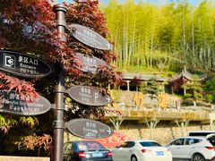 -宁波浙东大竹海景区