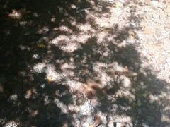 -青峰峡国家森林公园