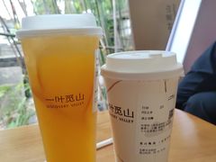 -一叶觅山(半边街店)