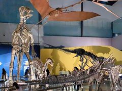 -湖南省地质博物馆