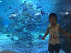 -三亚亚龙湾雅高美爵酒店