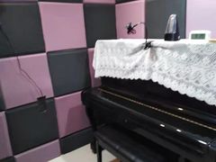 -琴芳艺所艺术培训.古筝钢琴