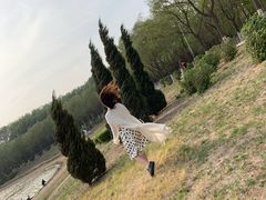 -丁香湖公园