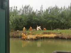 -泗洪洪泽湖湿地景区