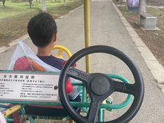 -南湖湿地公园