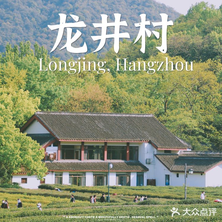 杭州小众景点｜名山名村名茶——龙井村