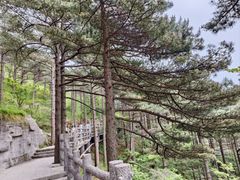 -黄山风景区