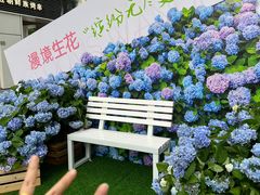 -HALO广场(梨园路店)