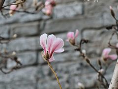 -东华门大街小区