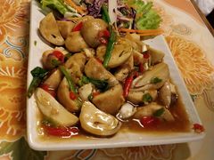 -Kat's Kitchen