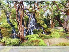 -Chom Cafe and Restaurant