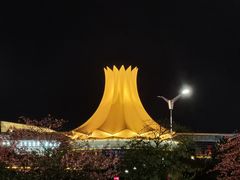 -南宁国际会展中心(会展东博文化旅游区)