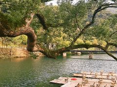 -上坦村