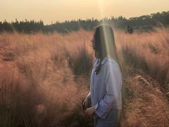 -艾溪湖湿地公园