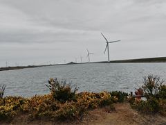 -启东黄金海滩景区