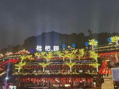 -枇杷园食为鲜火锅(南山店)