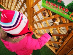 -萌宠亲子动物乐园(槐房万达店)