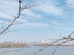 -九华山公园