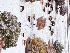 -五角枫生态旅游景区