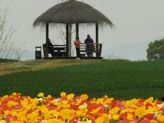 -径山花海