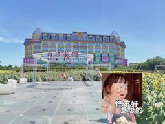 -百万葵园