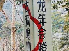 -雁荡山风景名胜区