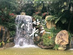 -广州市帽峰山景区