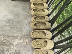 -尧坝古镇