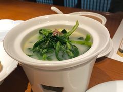 -觀芷隐轩