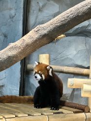 -Zoolung Zoolung动物主题公园(海信广场店)