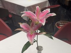 -苏淮景·苏闽融创菜·海鲜(原空港井河轩店)