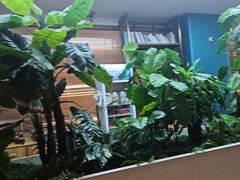 -悦海·家宴·冰花皮皮虾大锅贴(宝龙店)