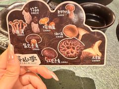 -芸山季·云南野生菌火锅(人民广场来福士店)