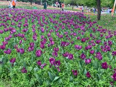 -长春公园(普阳街道)