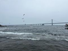 -星海广场