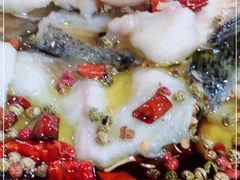 -金三可市井水煮鱼(金碧园店)