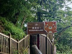 -瓦屋山景区