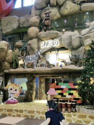 -卡通尼·Safari非洲探索乐园·生日会(金桥国际商业广场店)