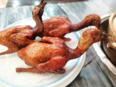 -鸽鸟轩(石岐店)