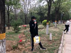 -云岗森林公园