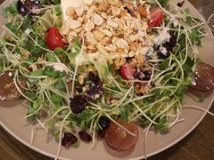 -机器人火炉披萨