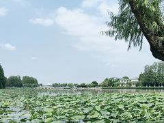 -东湖听涛景区