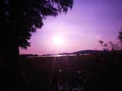 -贡湖湾湿地公园