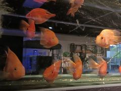 -趣陶陶艺手工坊(新世界百货重庆店)