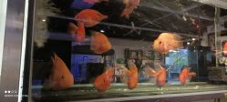 -趣陶陶艺手工坊(新世界百货重庆店)