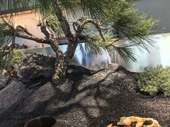 -曲廊院(东四十一条店)