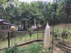 -吉隆坡雀鸟公园