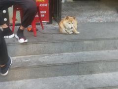 -潮庭·大连海鲜·炭火烧烤·扇贝王(大连店)
