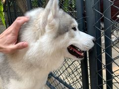 -TrueLove @ Neverland (Husky Cafe)