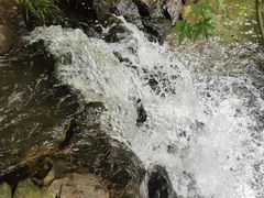 -水绘园